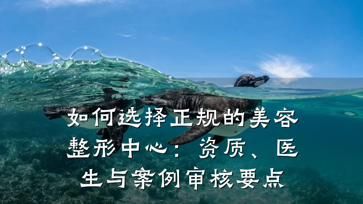 如何选择正规的美容整形中心:资质、医生与案例审核要点