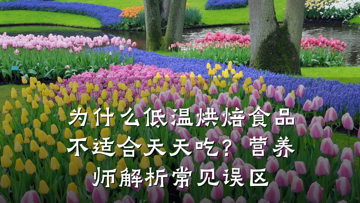 为什么低温烘焙食品不适合天天吃？营养师解析常见误区