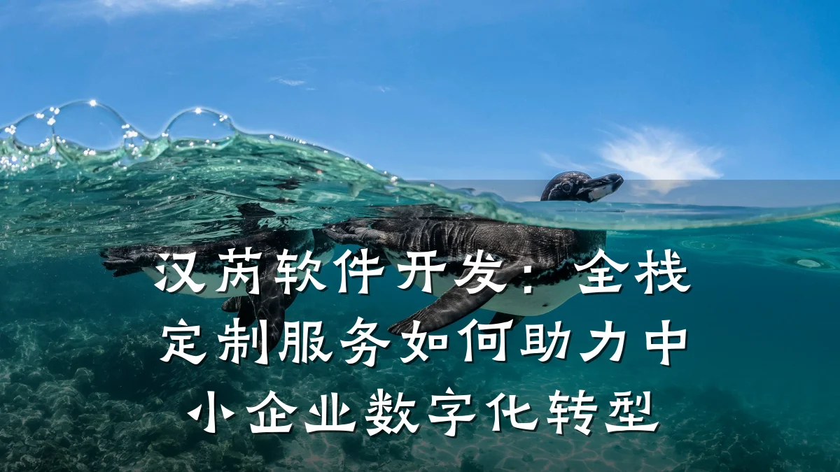 汉芮软件开发:全栈定制服务如何助力中小企业数字化转型