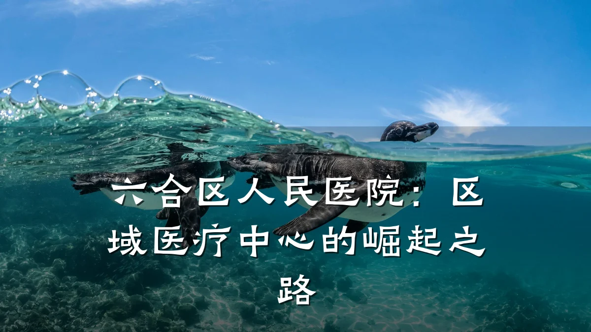六合区人民医院:区域医疗中心的崛起之路