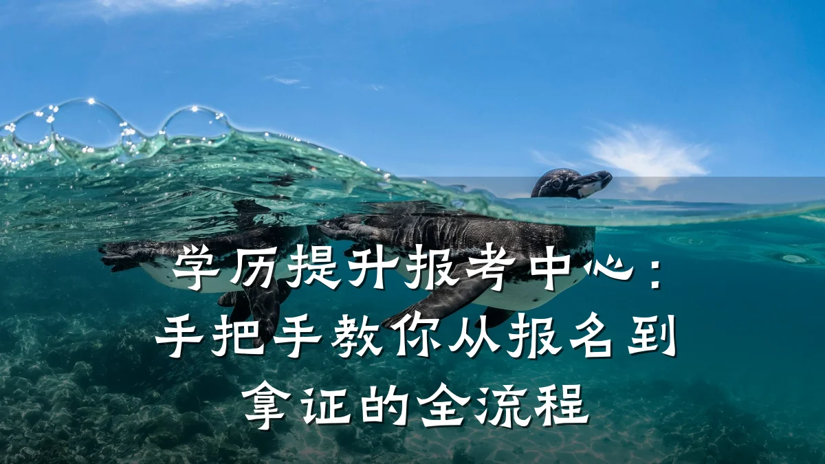 学历提升报考中心:手把手教你从报名到拿证的全流程