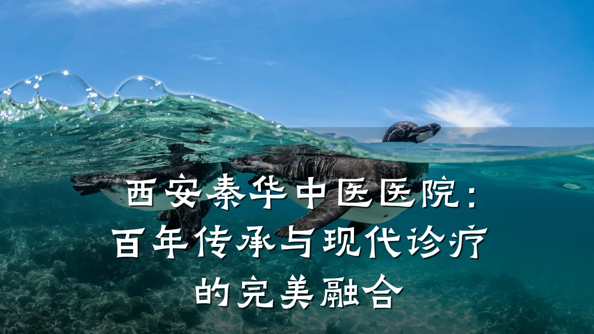 西安秦华中医医院:百年传承与现代诊疗的完美融合