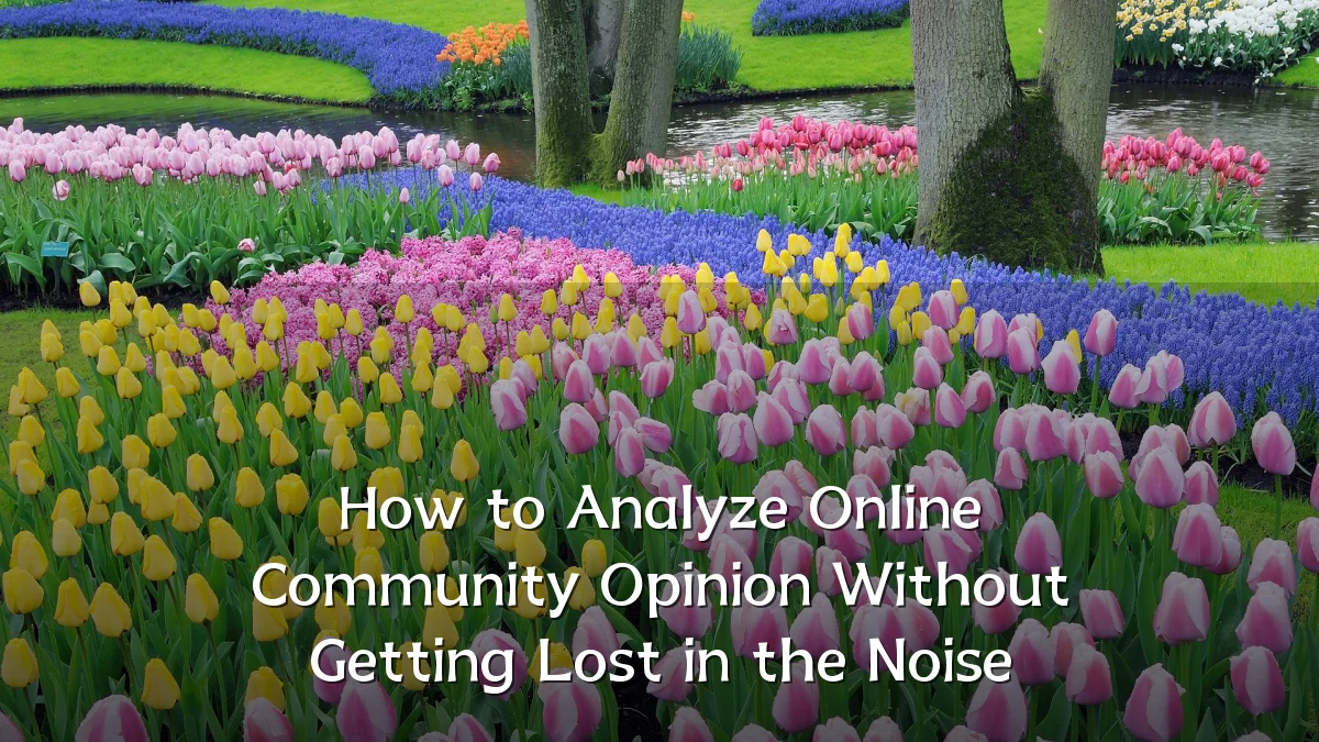 How to Analyze Online Community Opinion Without Getting Lost in the Noise