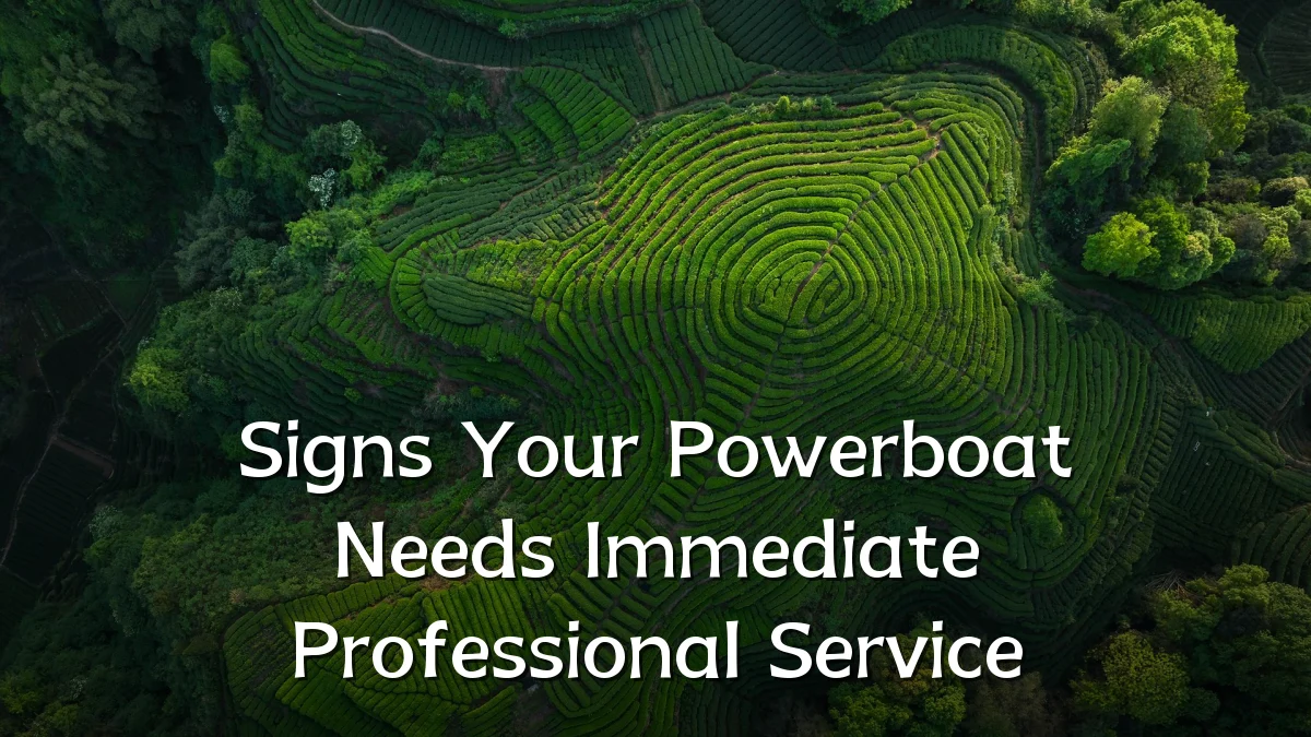 Signs Your Powerboat Needs Immediate Professional Service