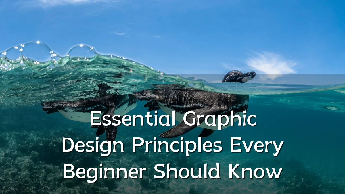 Essential Graphic Design Principles Every Beginner Should Know