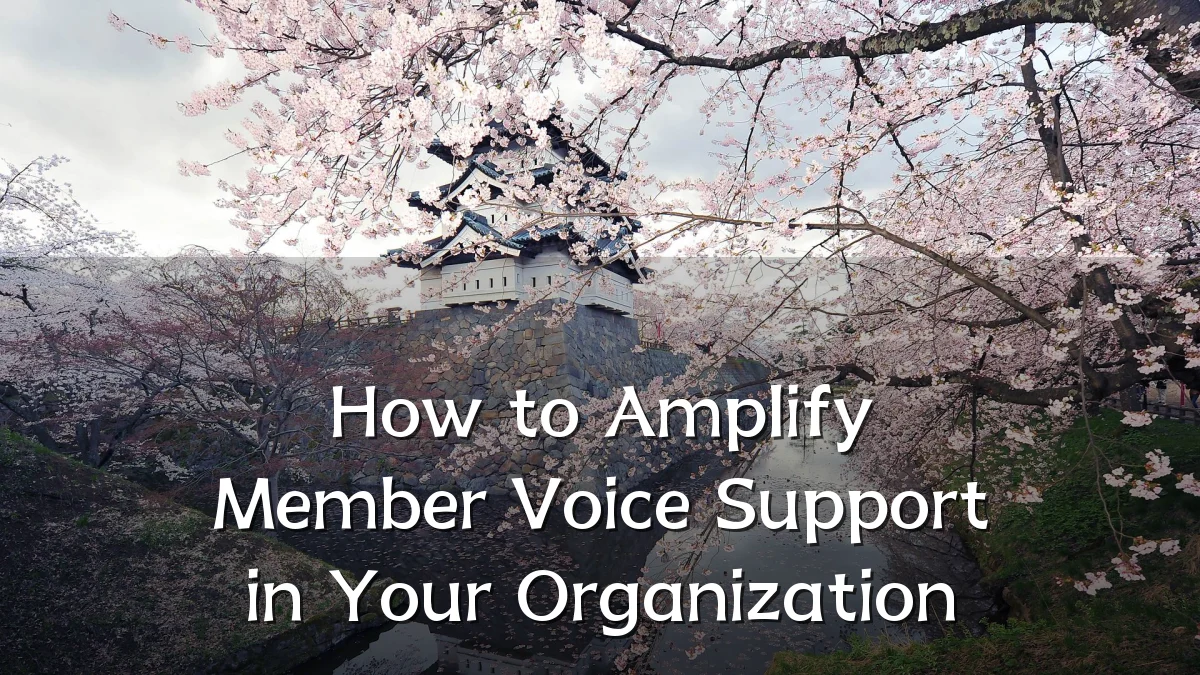 How to Amplify Member Voice Support in Your Organization