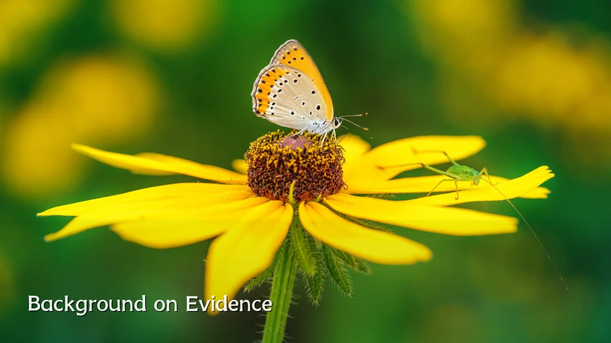 Background on Evidence