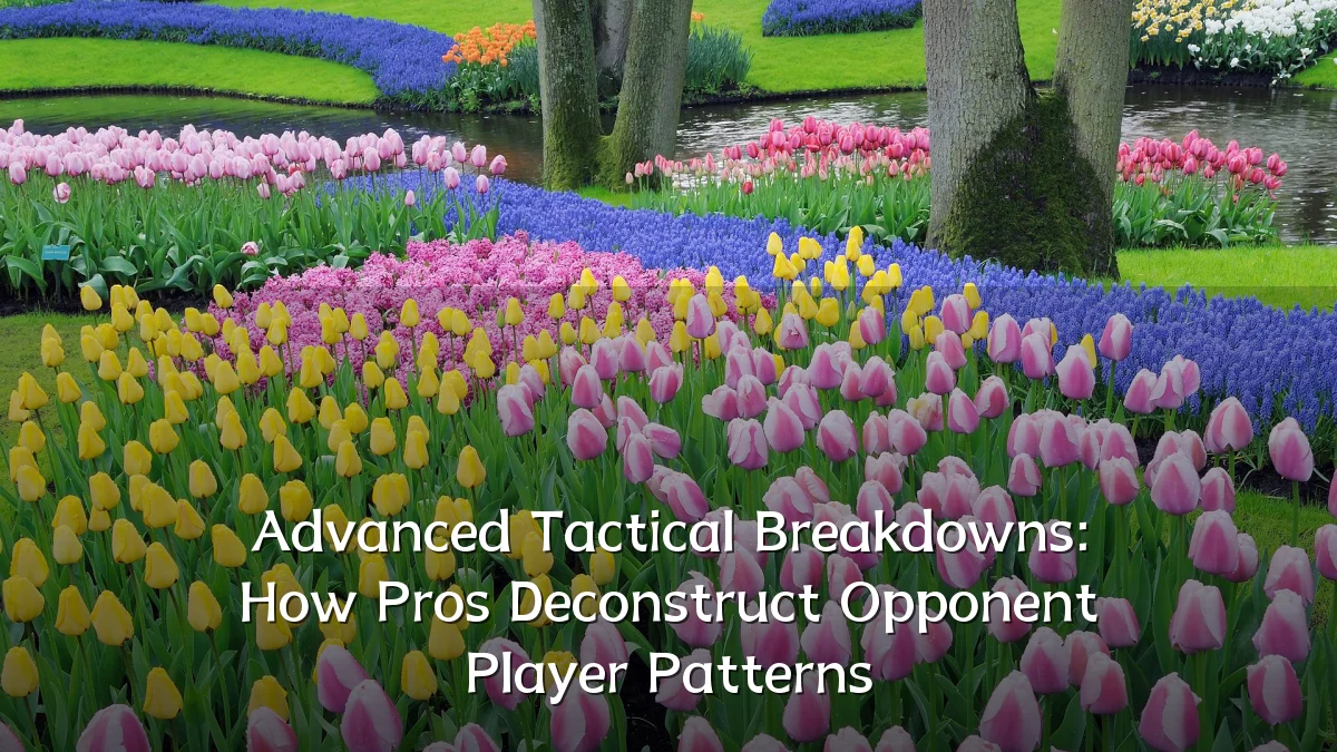 Advanced Tactical Breakdowns: How Pros Deconstruct Opponent Player Patterns