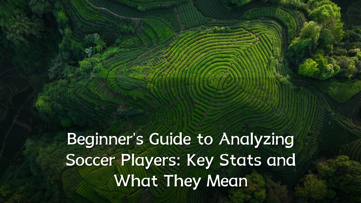 Beginner's Guide to Analyzing Soccer Players: Key Stats and What They Mean
