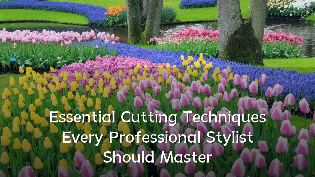 Essential Cutting Techniques Every Professional Stylist Should Master