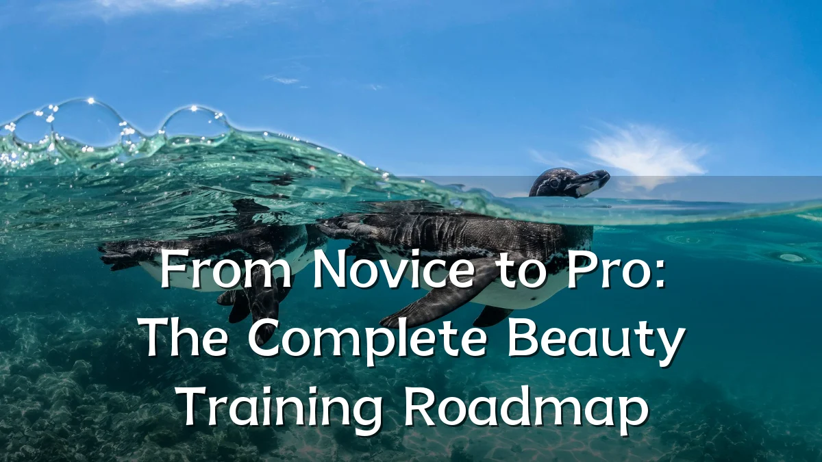 From Novice to Pro: The Complete Beauty Training Roadmap