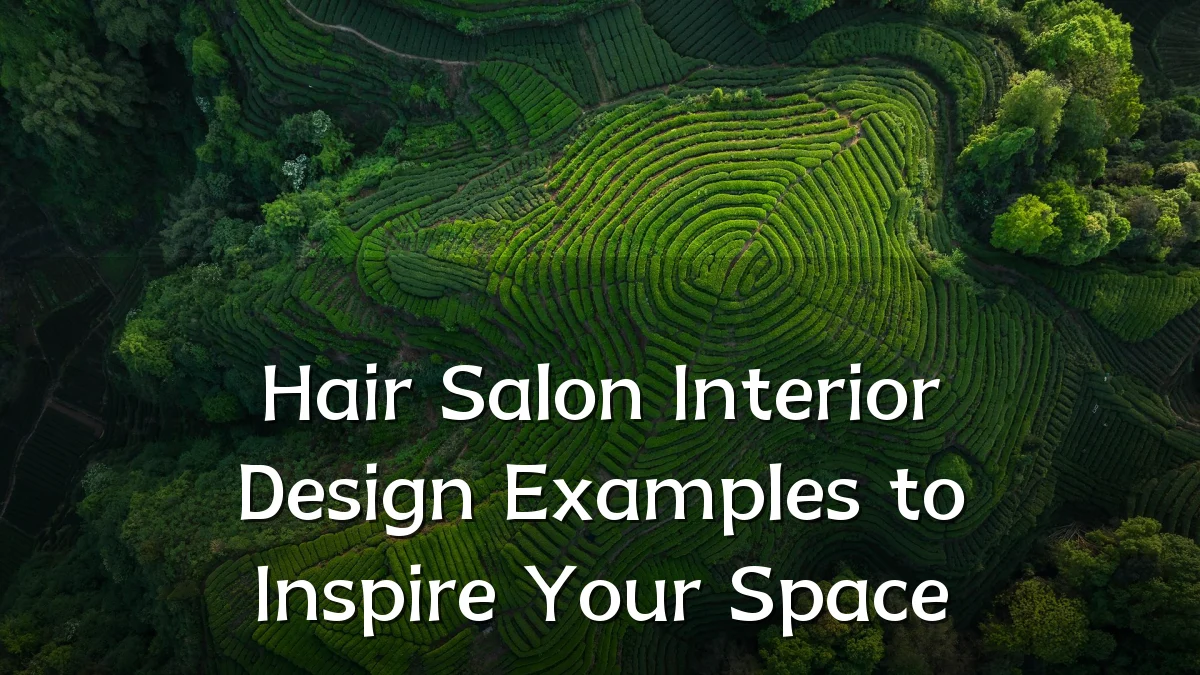 Hair Salon Interior Design Examples to Inspire Your Space