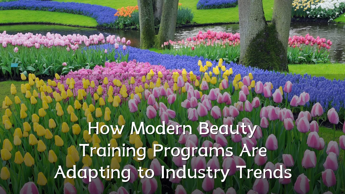 How Modern Beauty Training Programs Are Adapting to Industry Trends