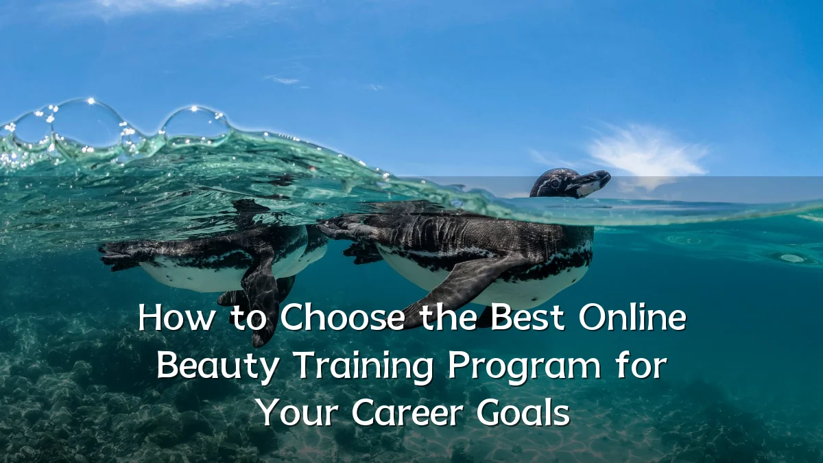 How to Choose the Best Online Beauty Training Program for Your Career Goals