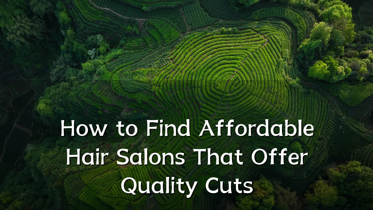 How to Find Affordable Hair Salons That Offer Quality Cuts