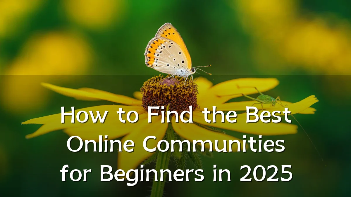 How to Find the Best Online Communities for Beginners in 2025