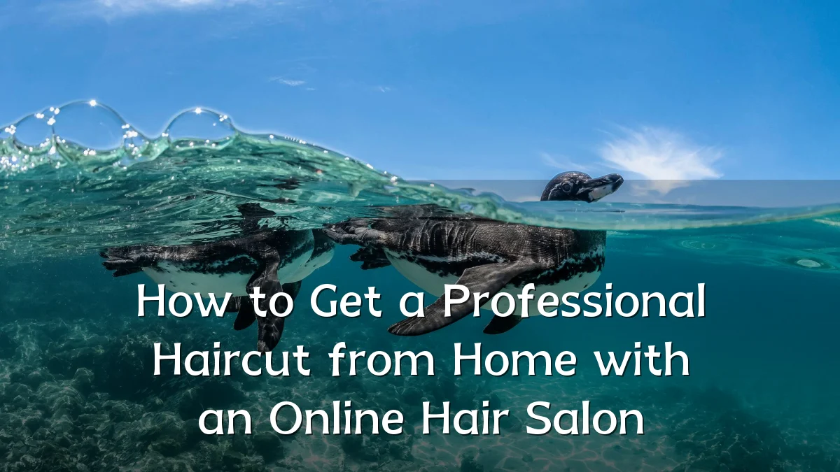 How to Get a Professional Haircut from Home with an Online Hair Salon