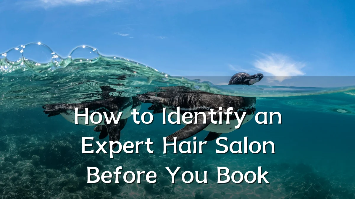 How to Identify an Expert Hair Salon Before You Book