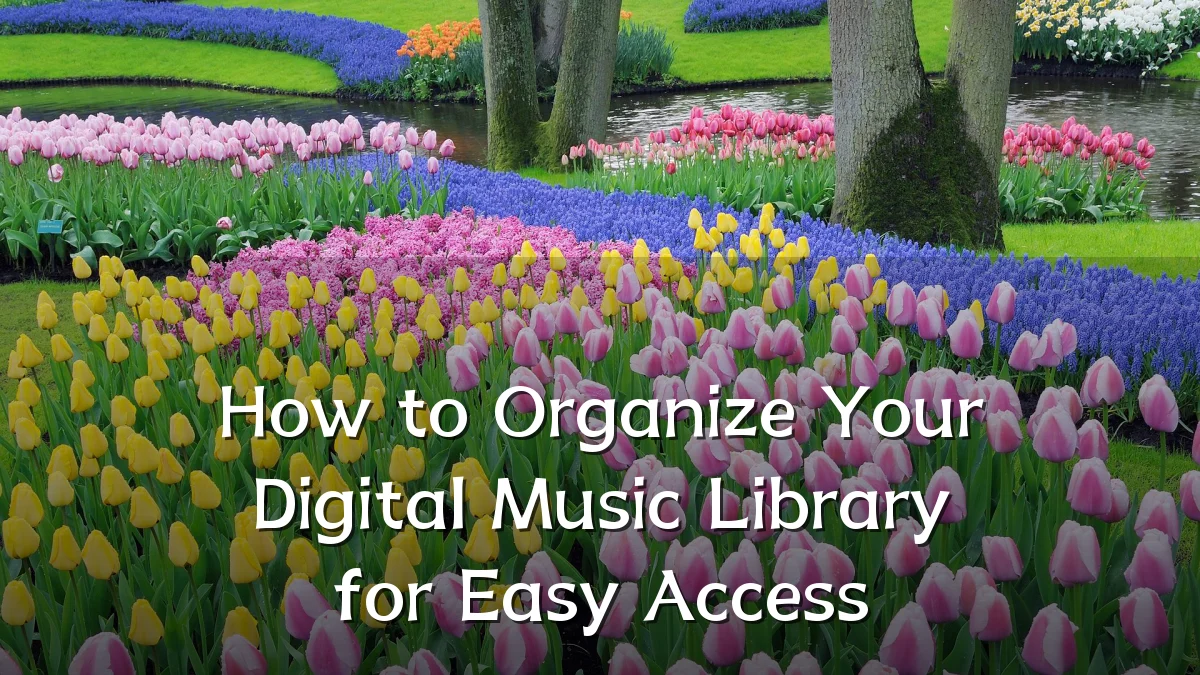 How to Organize Your Digital Music Library for Easy Access