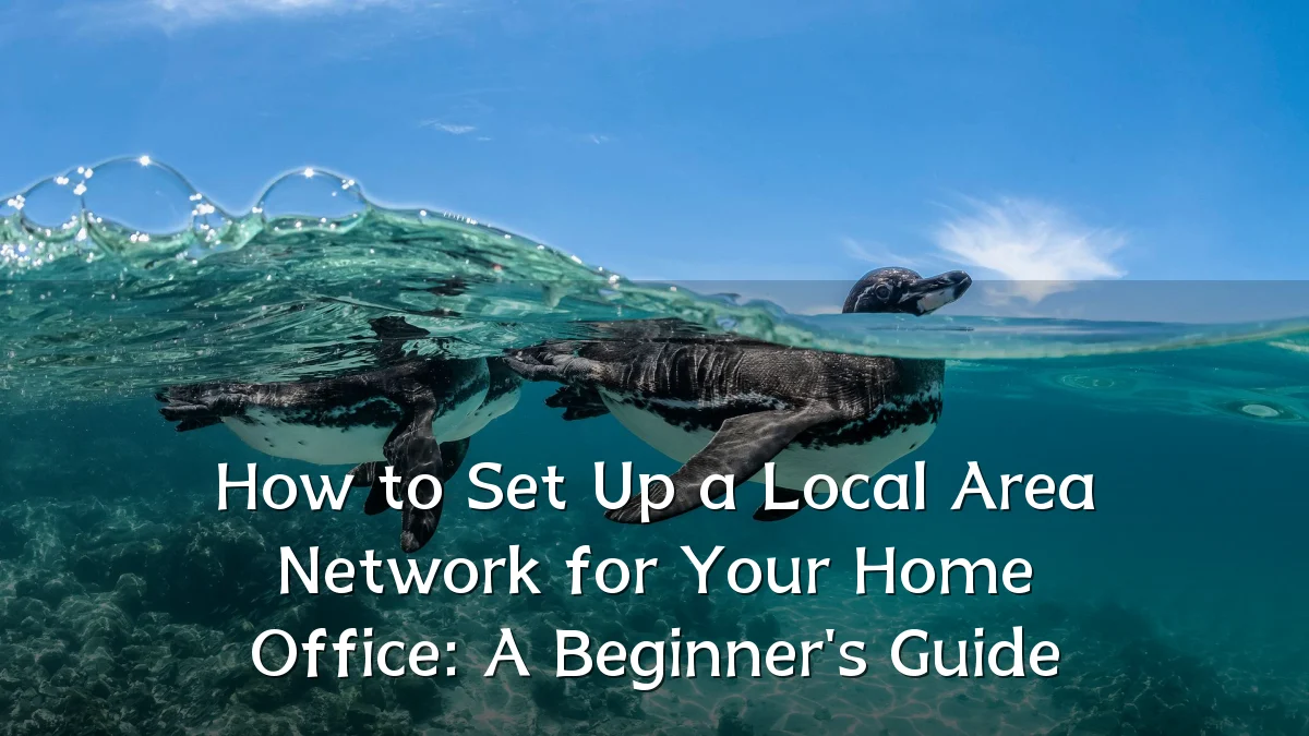 How to Set Up a Local Area Network for Your Home Office: A Beginner's Guide