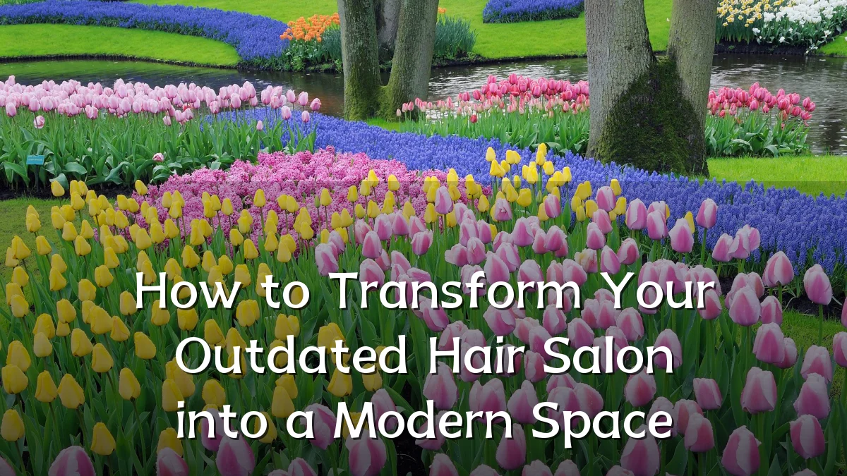 How to Transform Your Outdated Hair Salon into a Modern Space