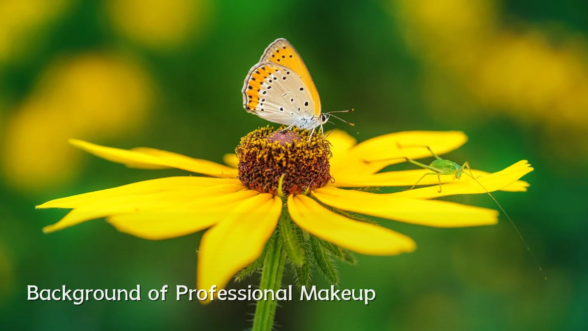 Background of Professional Makeup