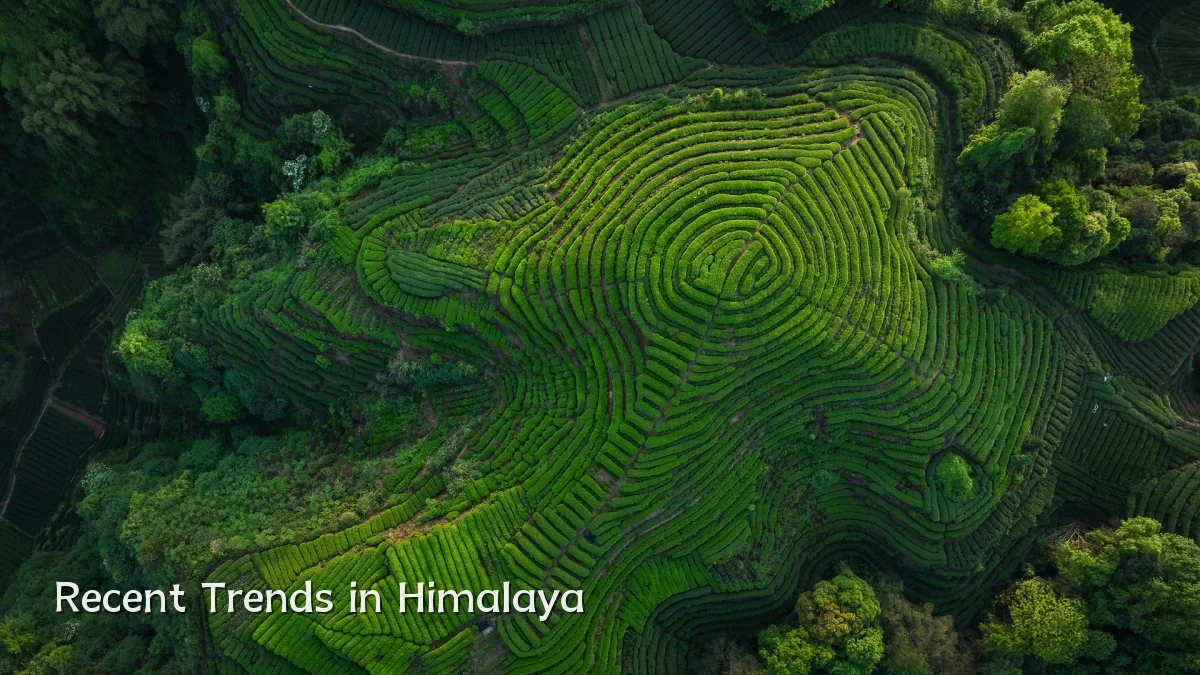 Recent Trends in Himalaya