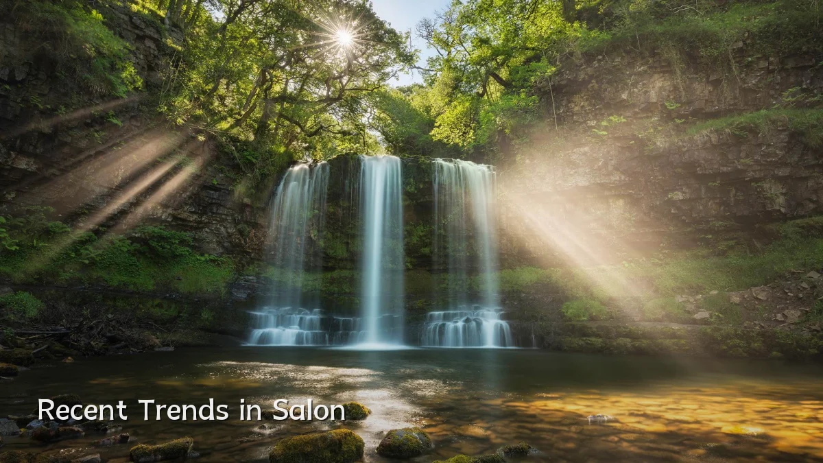 Recent Trends in Salon