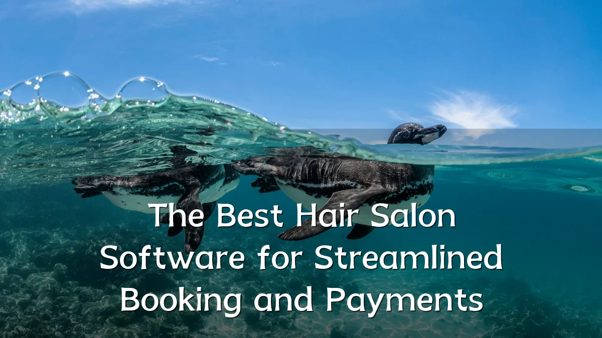 The Best Hair Salon Software for Streamlined Booking and Payments