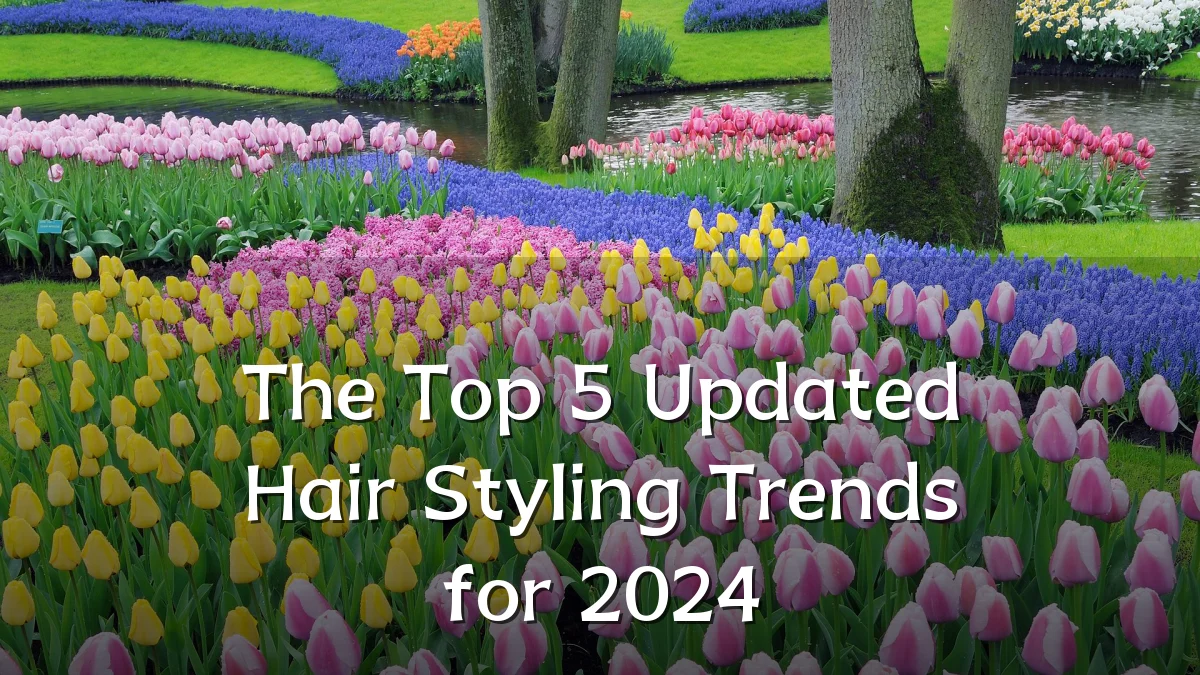 The Top 5 Updated Hair Styling Trends for 2024