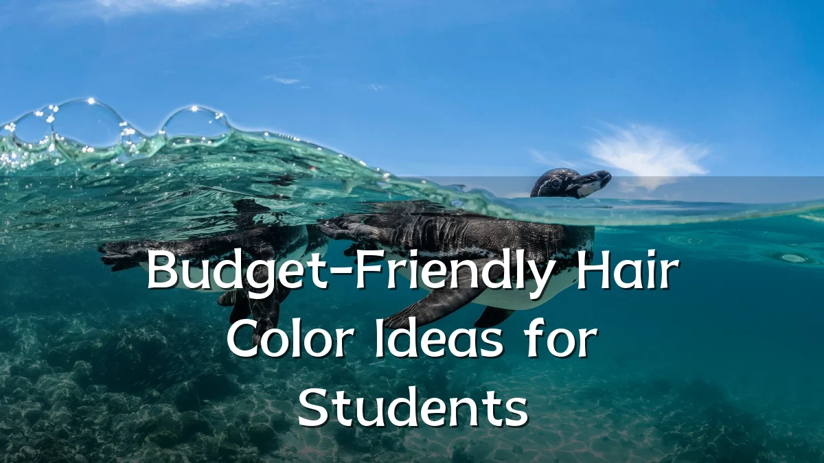 Budget-Friendly Hair Color Ideas for Students