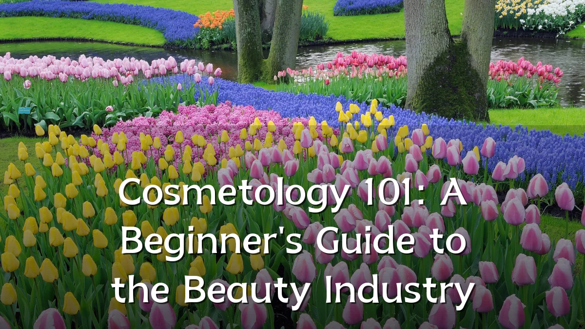 Cosmetology 101: A Beginner's Guide to the Beauty Industry
