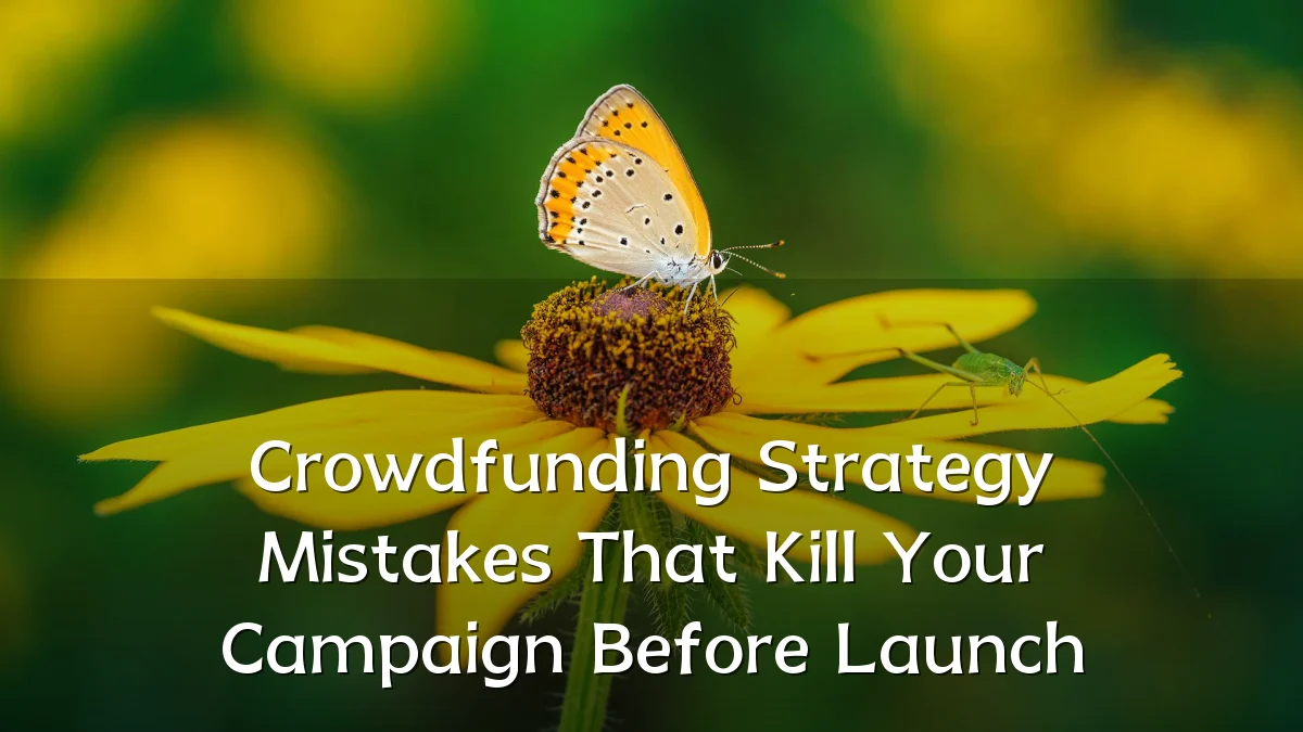 Crowdfunding Strategy Mistakes That Kill Your Campaign Before Launch