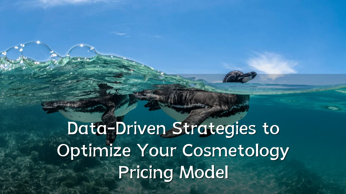 Data-Driven Strategies to Optimize Your Cosmetology Pricing Model