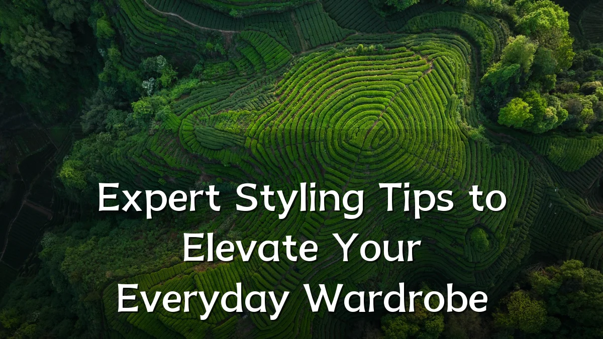 Expert Styling Tips to Elevate Your Everyday Wardrobe