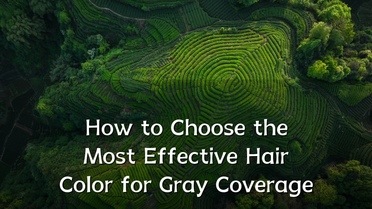 How to Choose the Most Effective Hair Color for Gray Coverage