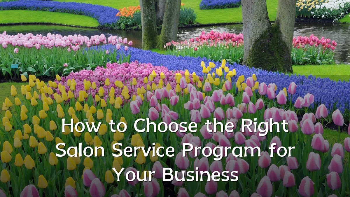 How to Choose the Right Salon Service Program for Your Business