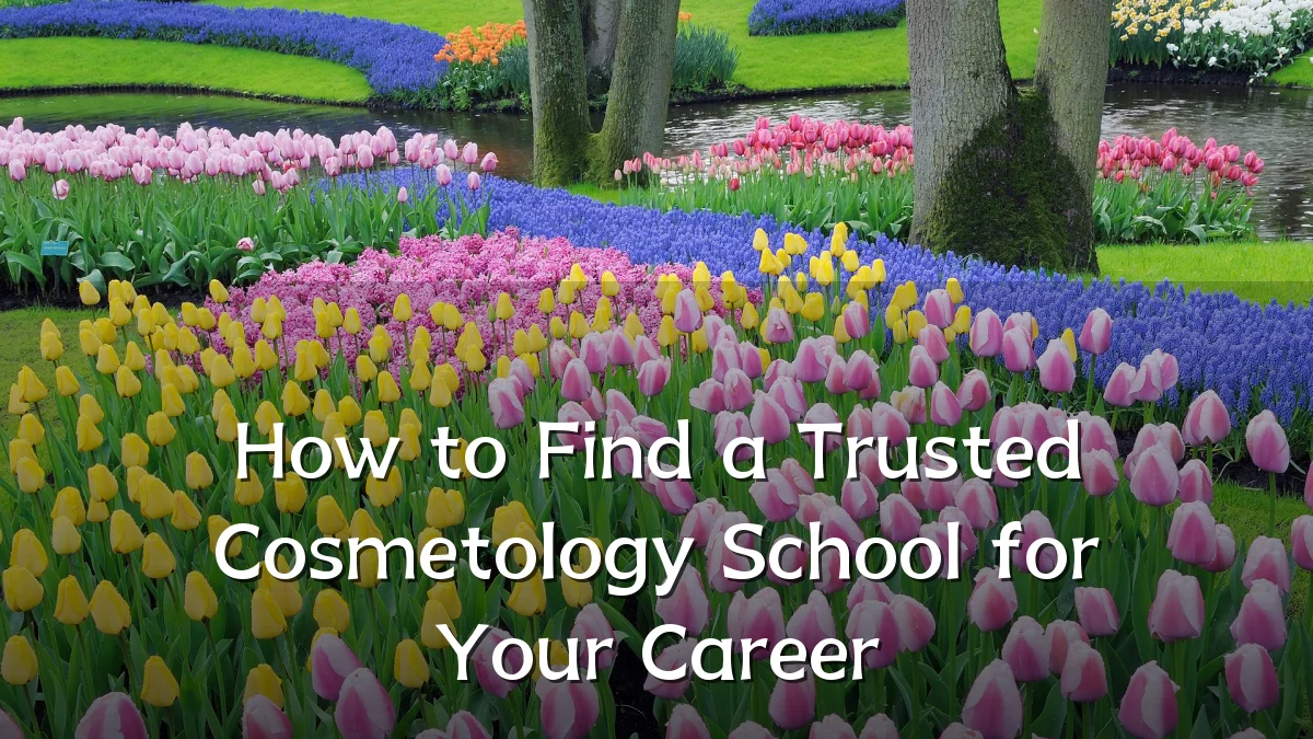 How to Find a Trusted Cosmetology School for Your Career
