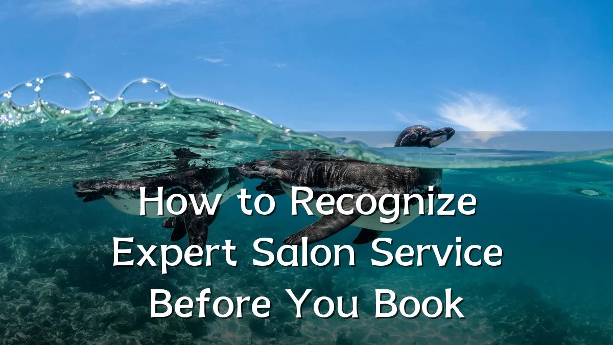 How to Recognize Expert Salon Service Before You Book