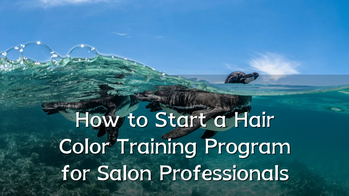 How to Start a Hair Color Training Program for Salon Professionals