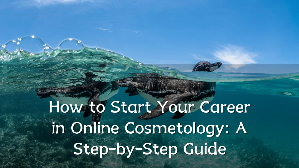 How to Start Your Career in Online Cosmetology: A Step-by-Step Guide