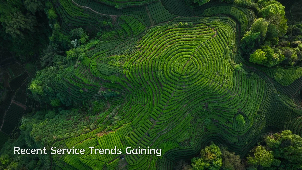 Recent Service Trends Gaining