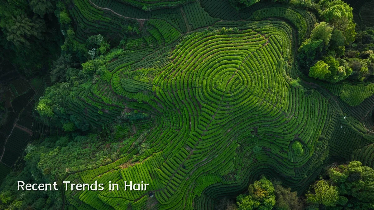 Recent Trends in Hair