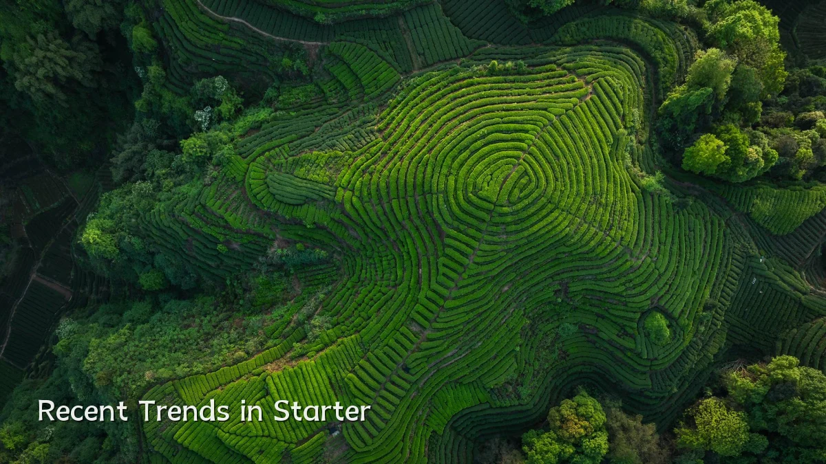 Recent Trends in Starter