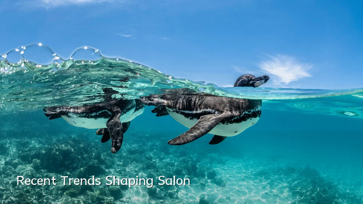 Recent Trends Shaping Salon