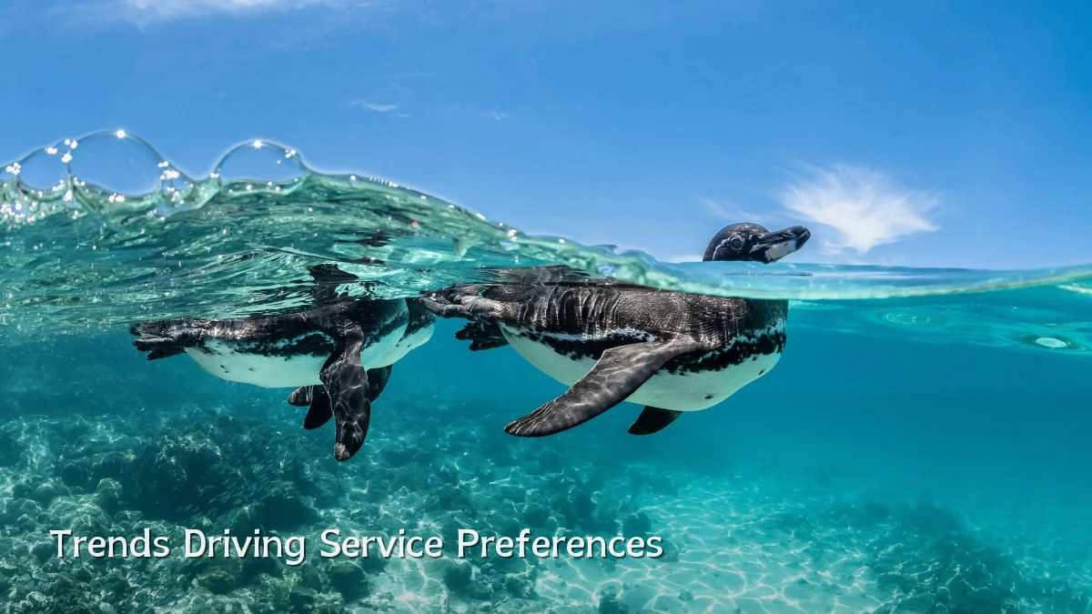 Trends Driving Service Preferences