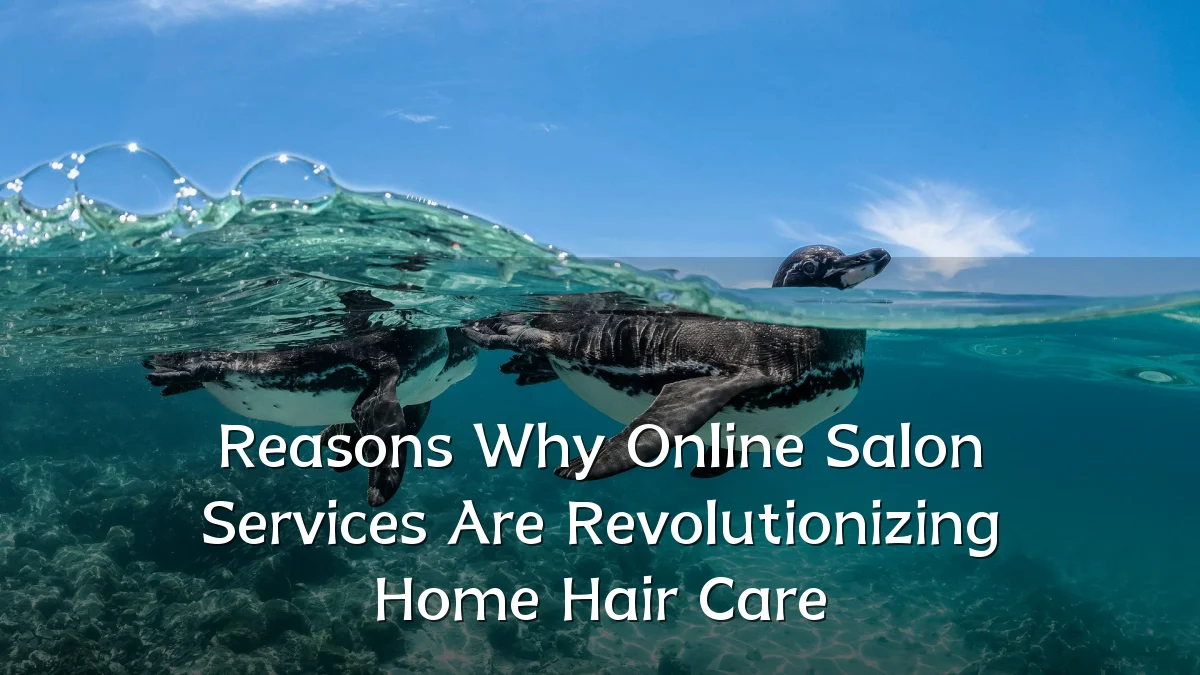 Reasons Why Online Salon Services Are Revolutionizing Home Hair Care