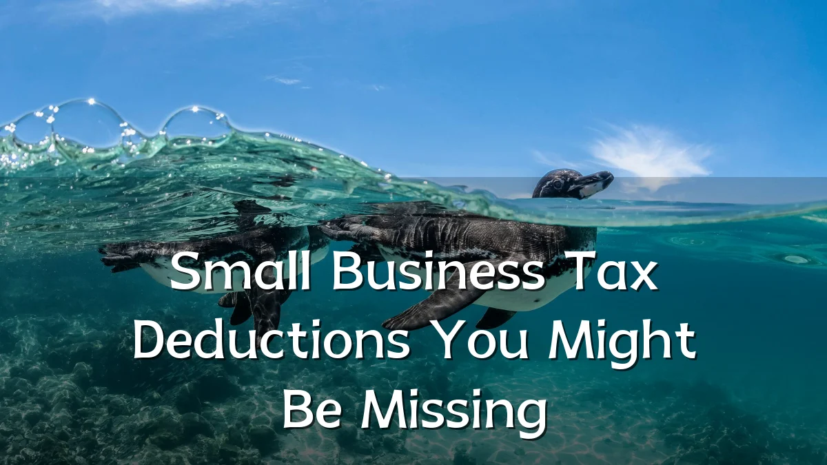 Small Business Tax Deductions You Might Be Missing