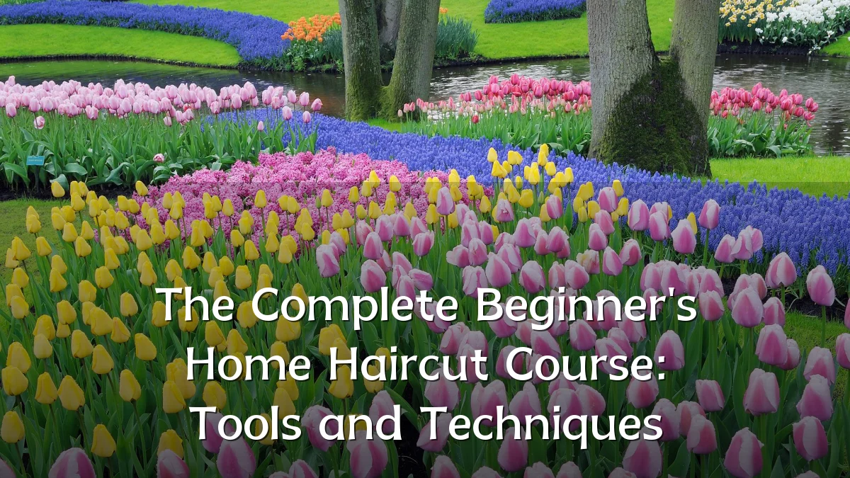 The Complete Beginner's Home Haircut Course: Tools and Techniques