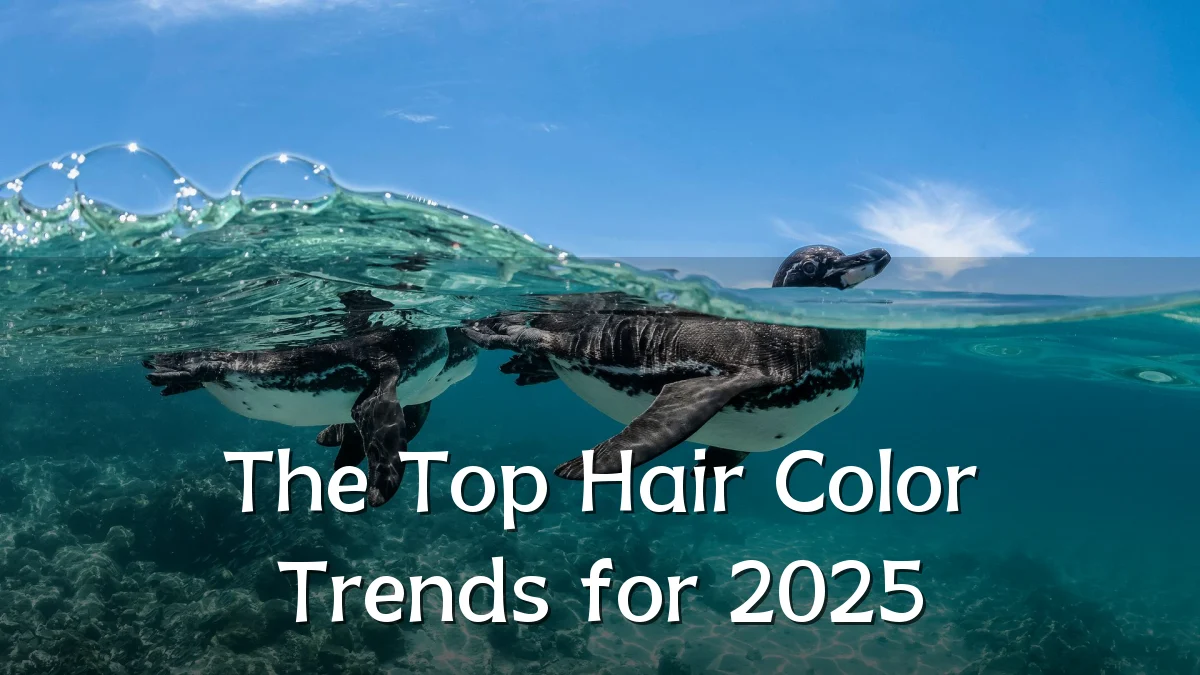 The Top Hair Color Trends for 2025
